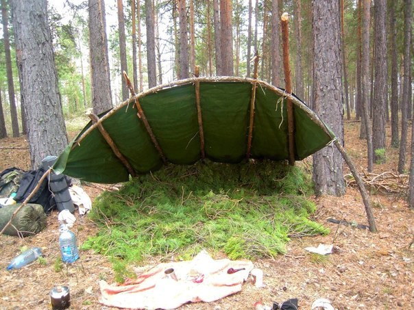 0alxgWtgnv4 - Делаем простейшее укрытие в лесу для трех человек
