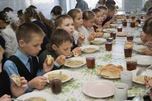 Во Владимире чиновница назвала покупку продуктов для школ делом родителей Глава департамента образования Владимирской области подчеркнула, что организация питания учащихся не входит в