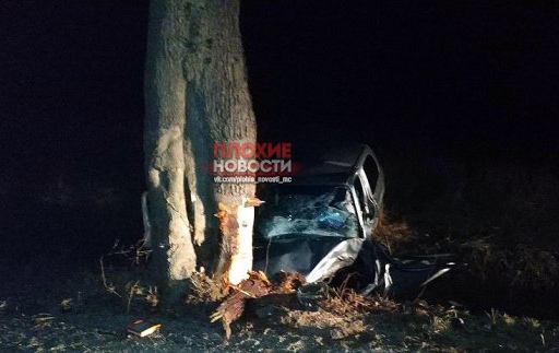 Под Калининградом погибла девушка. Не имея прав, она на автомобиле врезалась в дерево Погибшей в результате ДТП на Люблинском шоссе был 21 год. Об этом сообщили в пресс-службе регионального